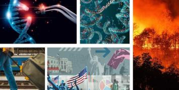 Consolidator Grants 2024: Examples of projects 